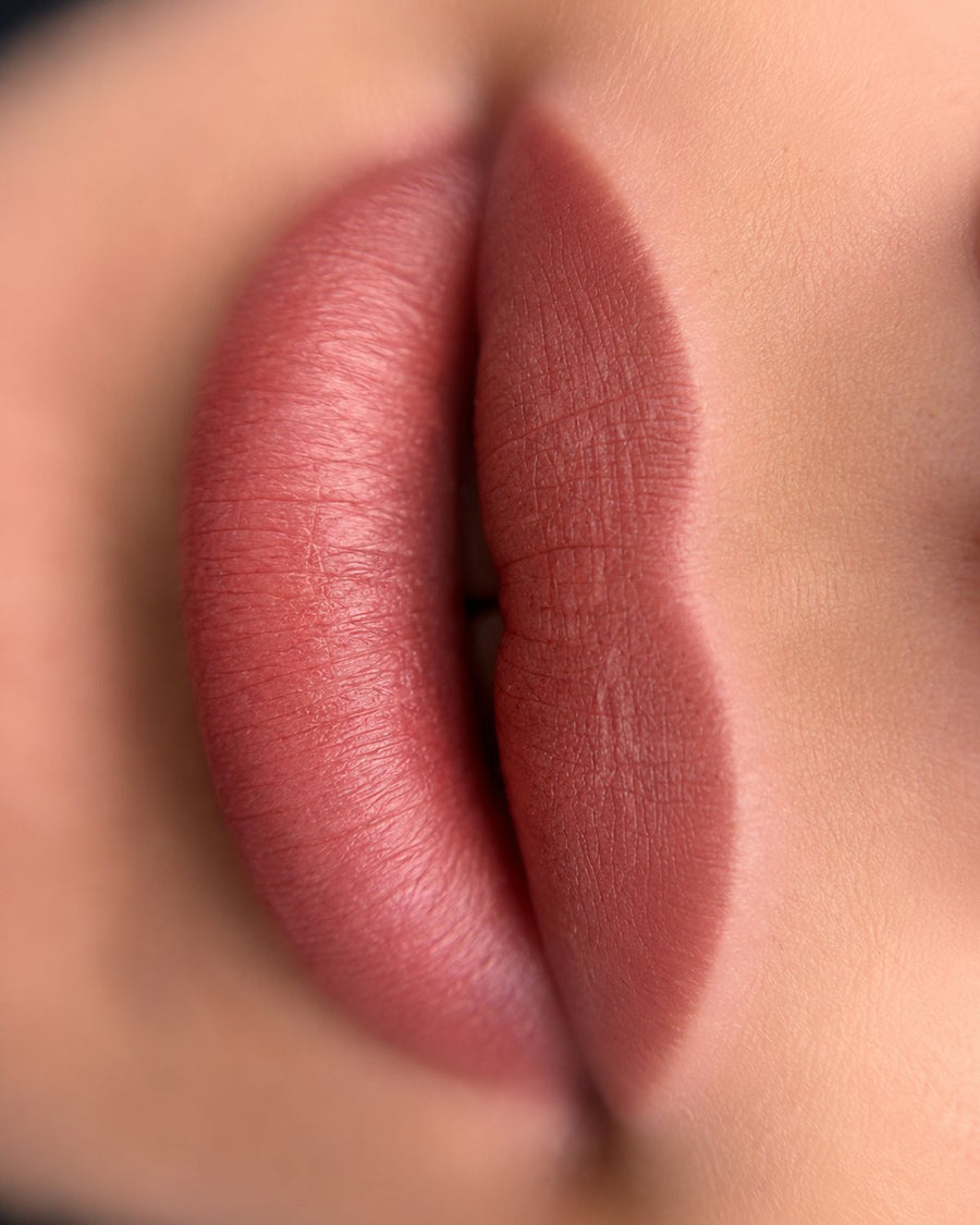 Blushed Lips · Rosa marsala · Healed