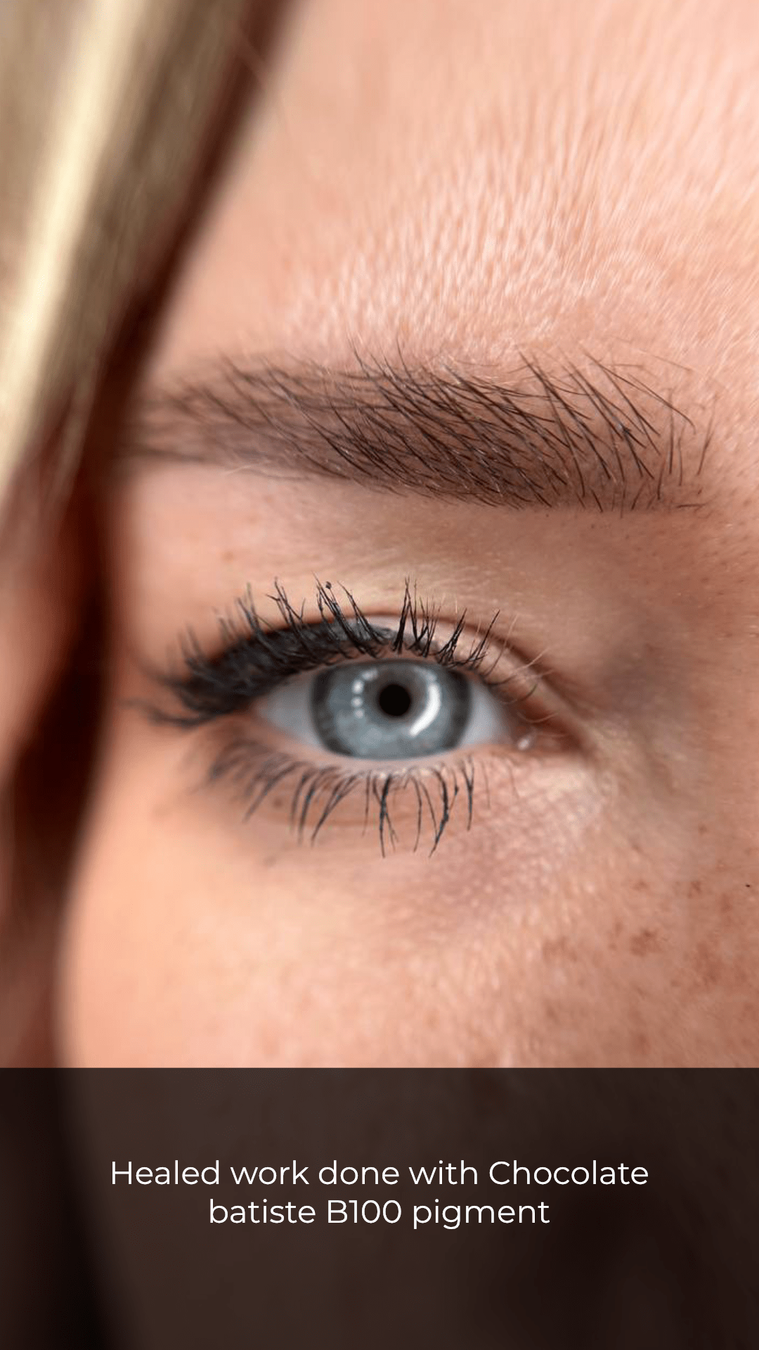 PODIUM - Chocolate Batiste B1OO - pigmento sopracciglia - Dermafusion