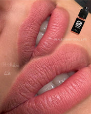 Podium Pink Batiste L1 — Pigmento labbra rosa cipria neutro - Dermafusion